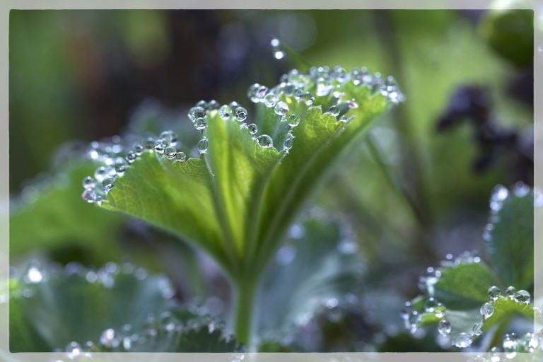 PHOTOS DE LA SAISON 2021-2022