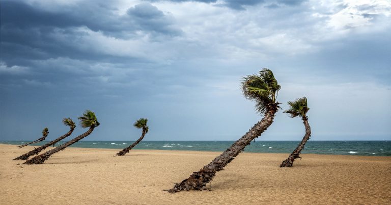 PHOTOS DE LA SAISON 2022-2023