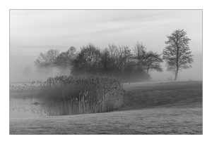 A_VAGU_DSC_4597 copie