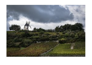 lase Bourgogne-1 copie