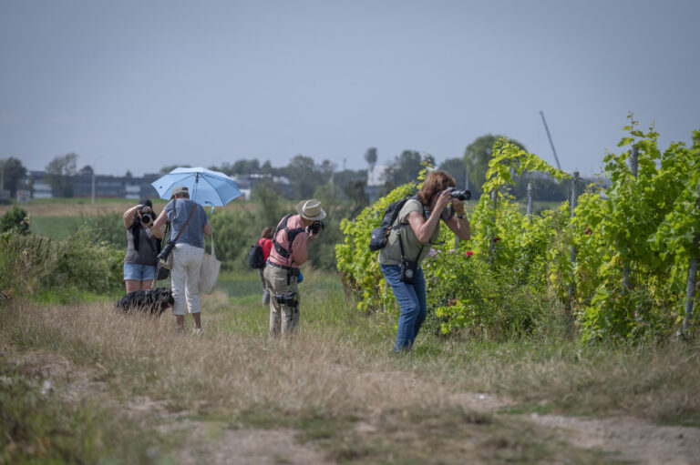 Découvrez le Royal Photo Club Entre Nous de Nivelles